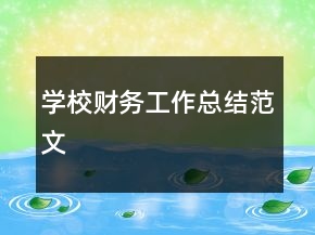 学校财务工作总结范文