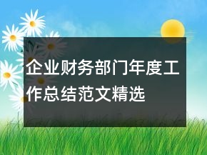企业财务部门年度工作总结范文精选