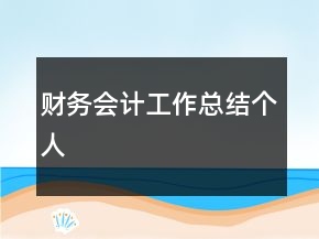 财务会计工作总结个人