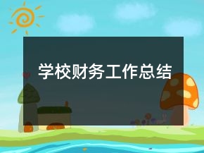 学校财务工作总结