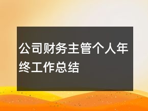 公司财务主管个人年终工作总结
