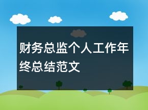 财务总监个人工作年终总结范文
