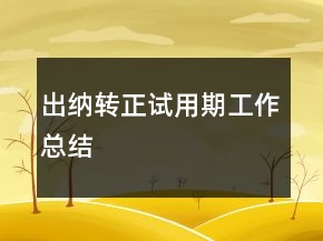 出纳转正试用期工作总结