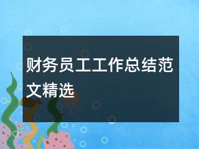 财务员工工作总结范文精选