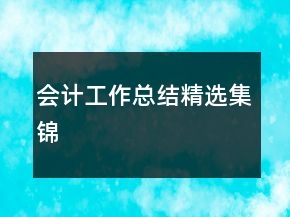 会计工作总结精选集锦
