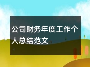 公司财务年度工作个人总结范文