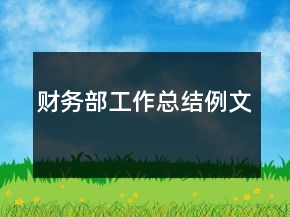 财务部工作总结例文