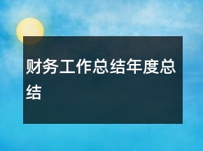 财务工作总结年度总结