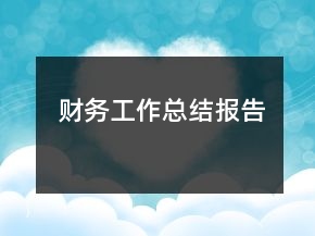 财务工作总结报告