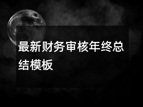 最新财务审核年终总结模板
