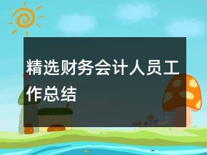 精选财务会计人员工作总结