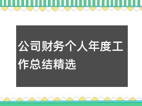 公司财务个人年度工作总结精选