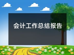 会计工作总结报告