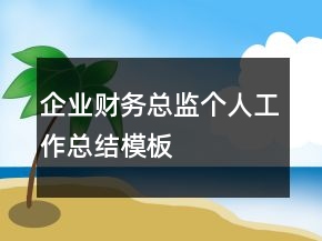 企业财务总监个人工作总结模板