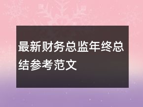 最新财务总监年终总结参考范文