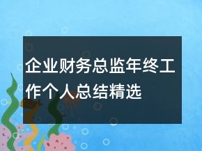 企业财务总监年终工作个人总结精选