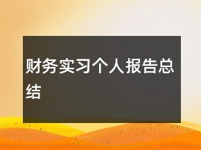 财务实习个人报告总结