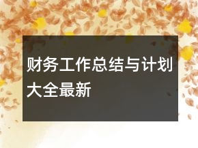 财务工作总结与计划大全最新