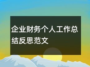 企业财务个人工作总结反思范文