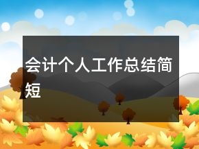 会计个人工作总结简短