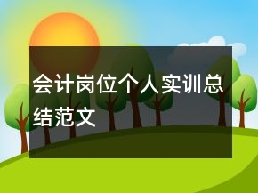 会计岗位个人实训总结范文