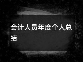 会计人员年度个人总结