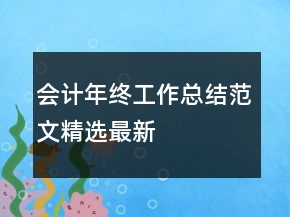 会计年终工作总结范文精选最新