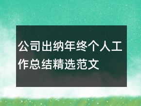 公司出纳年终个人工作总结精选范文