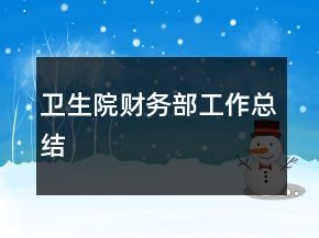 卫生院财务部工作总结