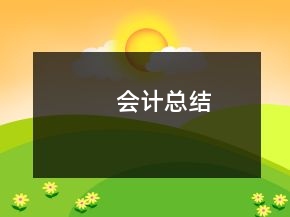 会计总结