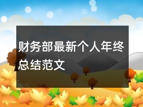 财务部最新个人年终总结范文