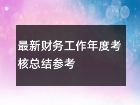 最新财务工作年度考核总结参考
