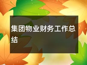 集团物业财务工作总结