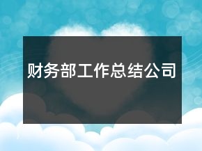财务部工作总结公司