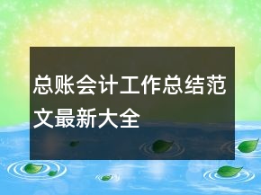 总账会计工作总结范文最新大全