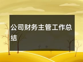 公司财务主管工作总结