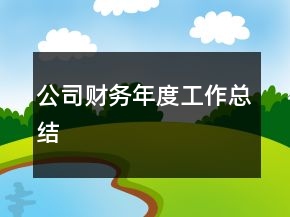 公司财务年度工作总结