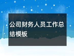 公司财务人员工作总结模板