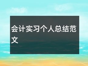 会计实习个人总结范文