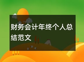 财务会计年终个人总结范文