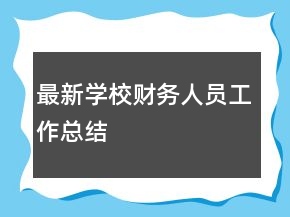 最新学校财务人员工作总结