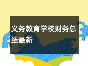 义务教育学校财务总结最新