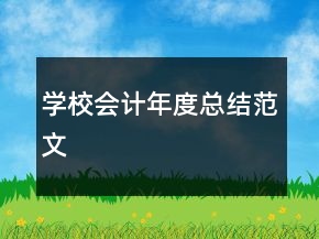 学校会计年度总结范文