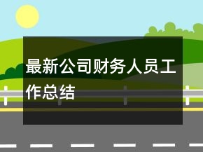 最新公司财务人员工作总结
