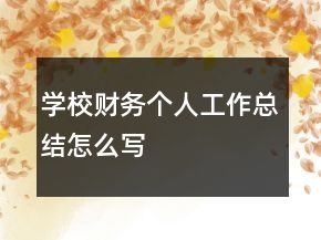 学校财务个人工作总结怎么写