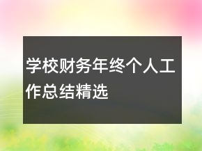 学校财务年终个人工作总结精选