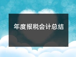 年度报税会计总结