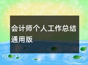 会计师个人工作总结通用版