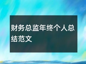 财务总监年终个人总结范文