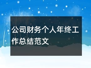 公司财务个人年终工作总结范文